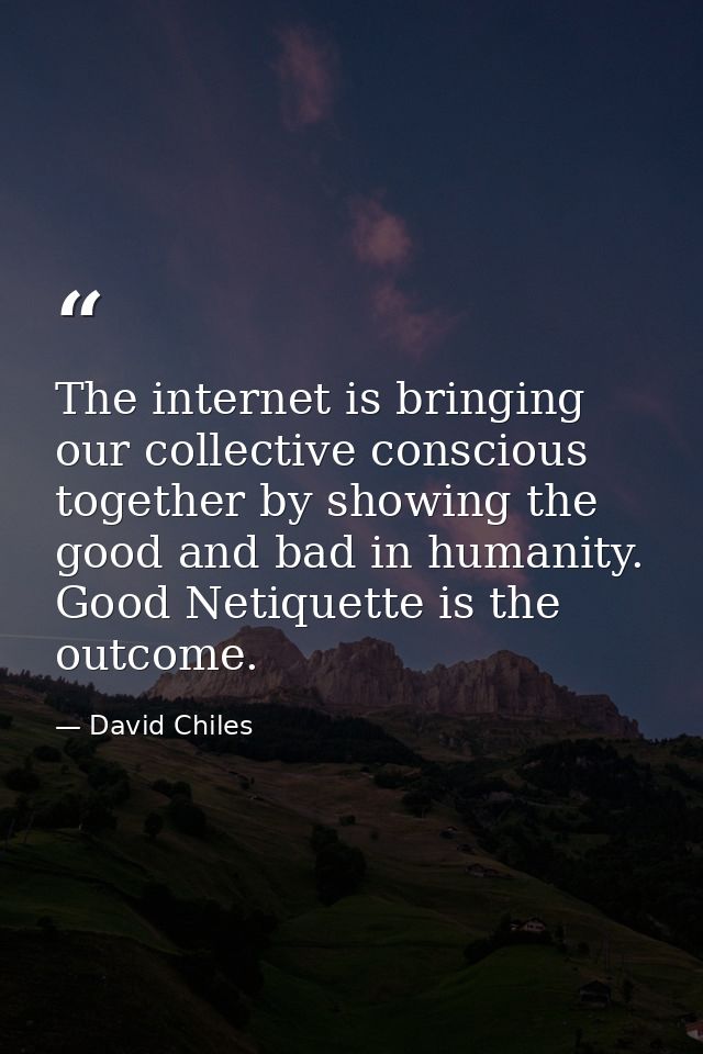 The internet is bringing our collective conscious together by showing the good and bad in humanity. Good Netiquette is t — David Chiles