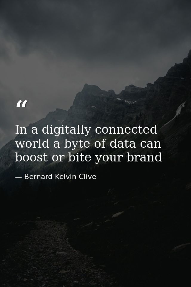 In a digitally connected world a byte of data can boost or bite your brand — Bernard Kelvin Clive