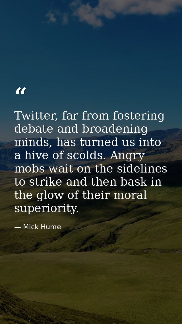 Twitter, far from fostering debate and broadening minds, has turned us into a hive of scolds. Angry mobs wait on the sid — Mick Hume