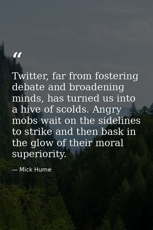 Twitter, far from fostering debate and broadening minds, has turned us into a hive of scolds. Angry mobs wait on the sid — Mick Hume