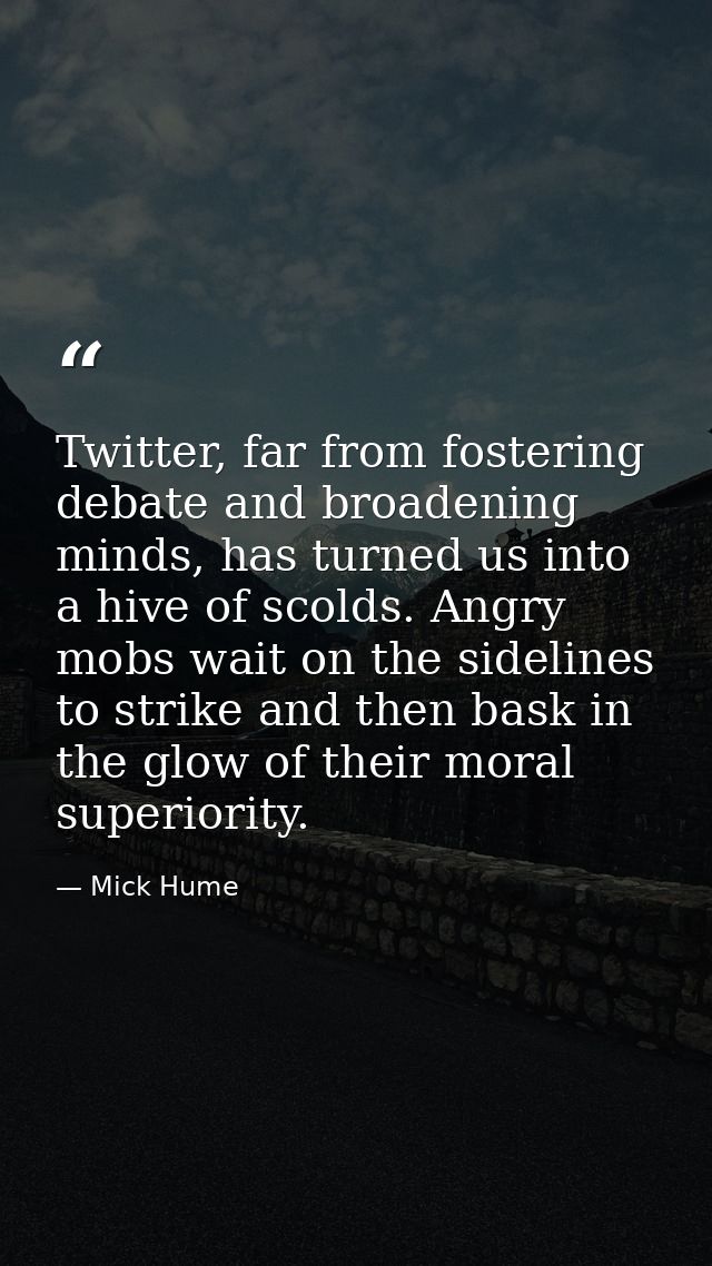 Twitter, far from fostering debate and broadening minds, has turned us into a hive of scolds. Angry mobs wait on the sid — Mick Hume