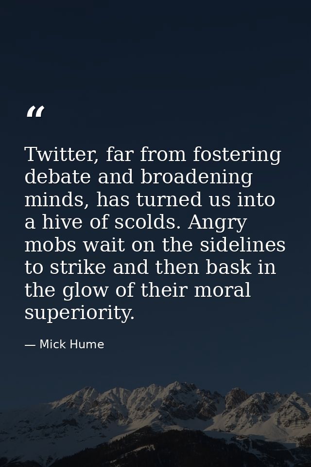 Twitter, far from fostering debate and broadening minds, has turned us into a hive of scolds. Angry mobs wait on the sid — Mick Hume