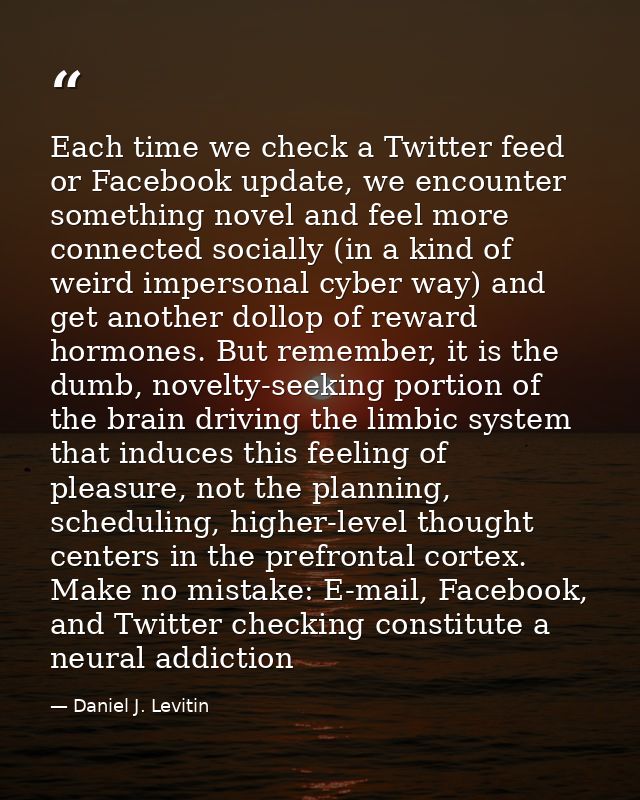 Each time we check a Twitter feed or Facebook update, we encounter something novel and feel more connected socially (in  — Daniel J. Levitin