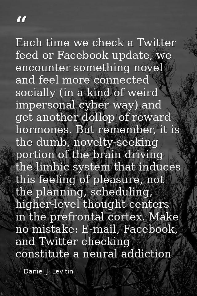 Each time we check a Twitter feed or Facebook update, we encounter something novel and feel more connected socially (in  — Daniel J. Levitin