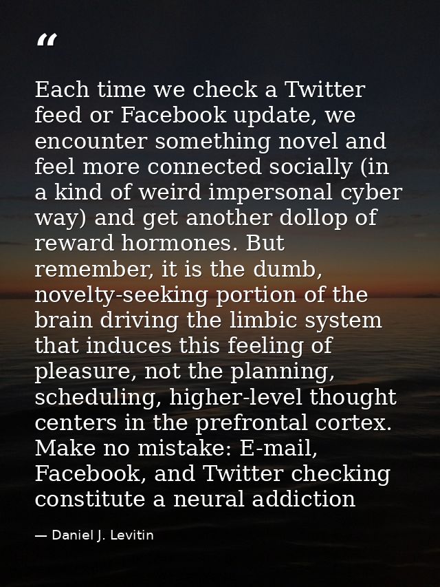 Each time we check a Twitter feed or Facebook update, we encounter something novel and feel more connected socially (in  — Daniel J. Levitin