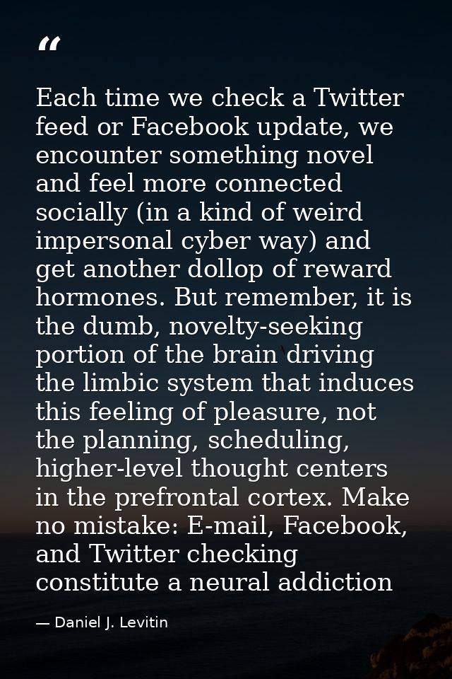 Each time we check a Twitter feed or Facebook update, we encounter something novel and feel more connected socially (in  — Daniel J. Levitin