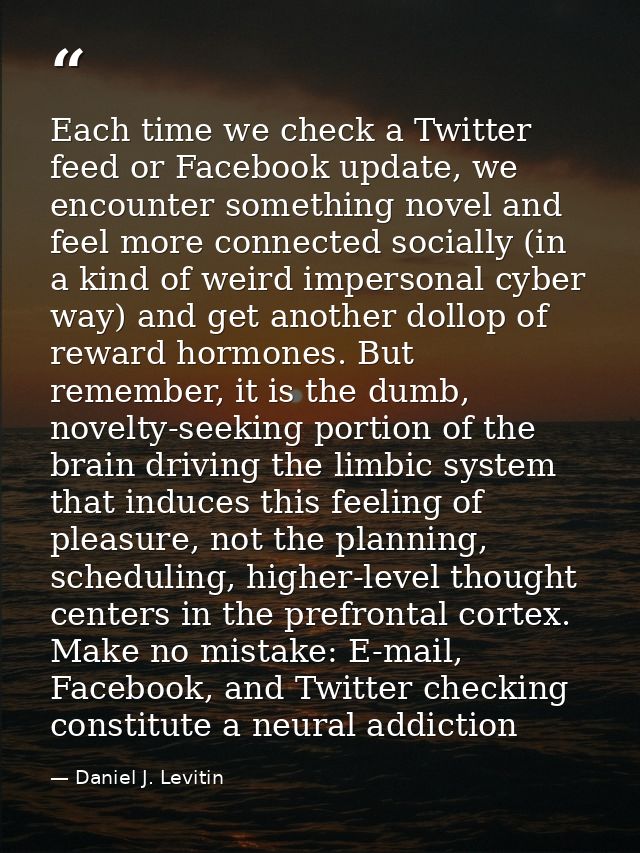 Each time we check a Twitter feed or Facebook update, we encounter something novel and feel more connected socially (in  — Daniel J. Levitin