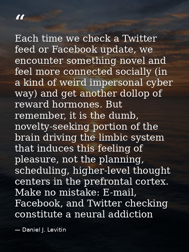 Each time we check a Twitter feed or Facebook update, we encounter something novel and feel more connected socially (in  — Daniel J. Levitin