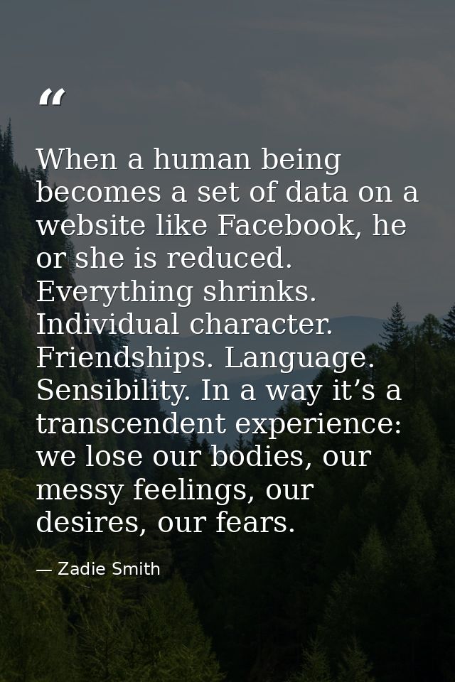 When a human being becomes a set of data on a website like Facebook, he or she is reduced. Everything shrinks. Individua — Zadie Smith