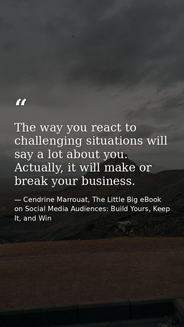 The way you react to challenging situations will say a lot about you. Actually, it will make or break your business. — Cendrine Marrouat, The Little Big eBook on Social Media Audiences: Build Yours, Keep It, and Win
