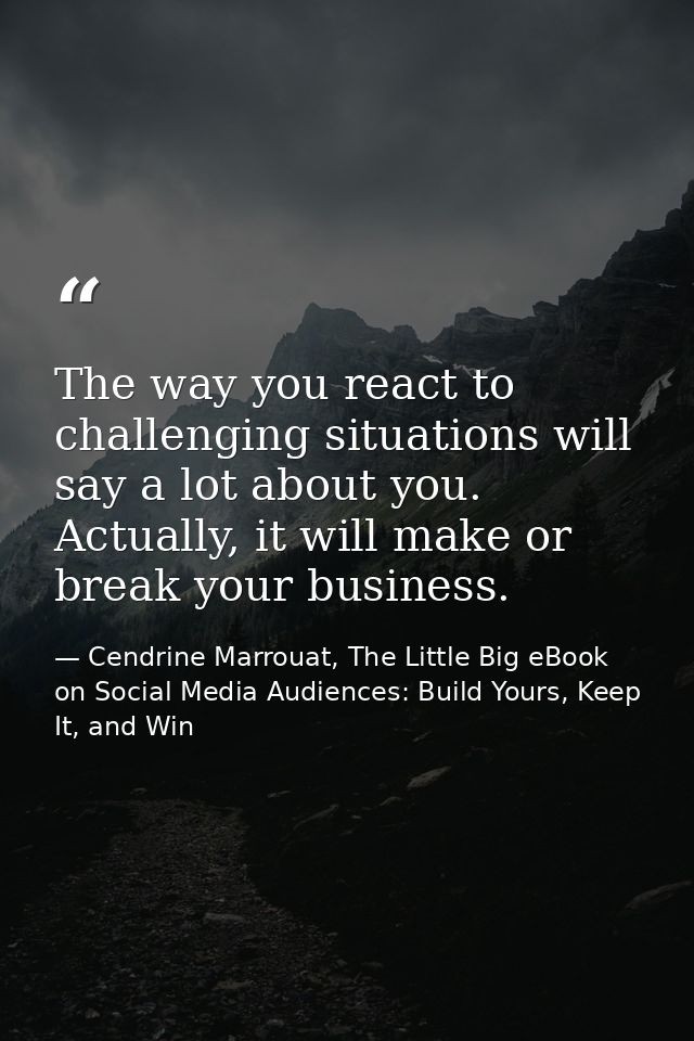 The way you react to challenging situations will say a lot about you. Actually, it will make or break your business. — Cendrine Marrouat, The Little Big eBook on Social Media Audiences: Build Yours, Keep It, and Win