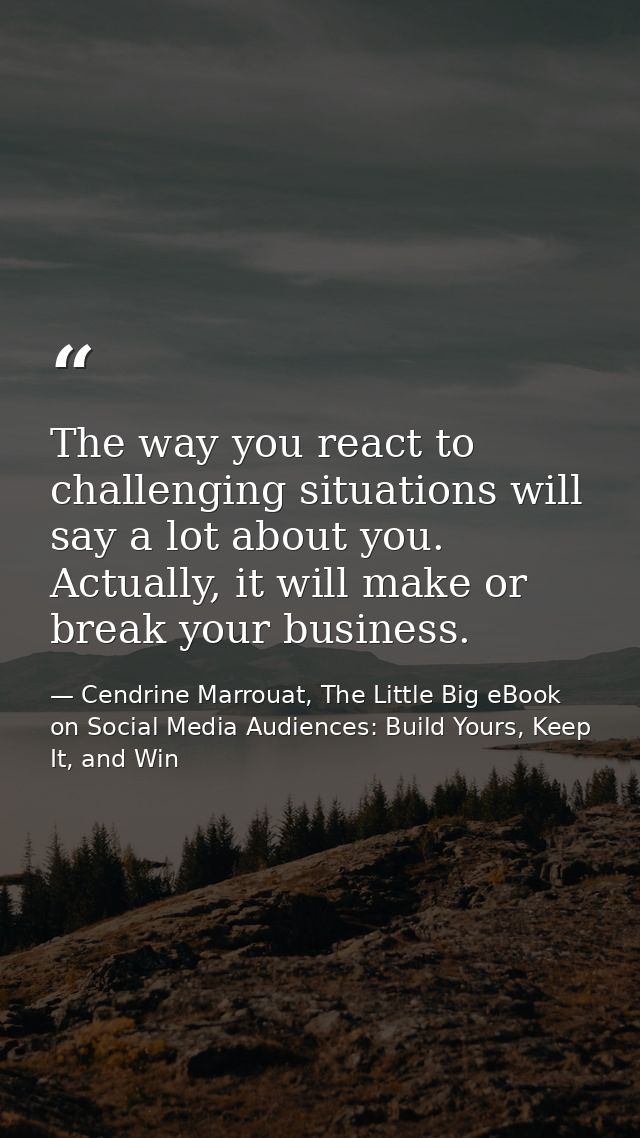 The way you react to challenging situations will say a lot about you. Actually, it will make or break your business. — Cendrine Marrouat, The Little Big eBook on Social Media Audiences: Build Yours, Keep It, and Win
