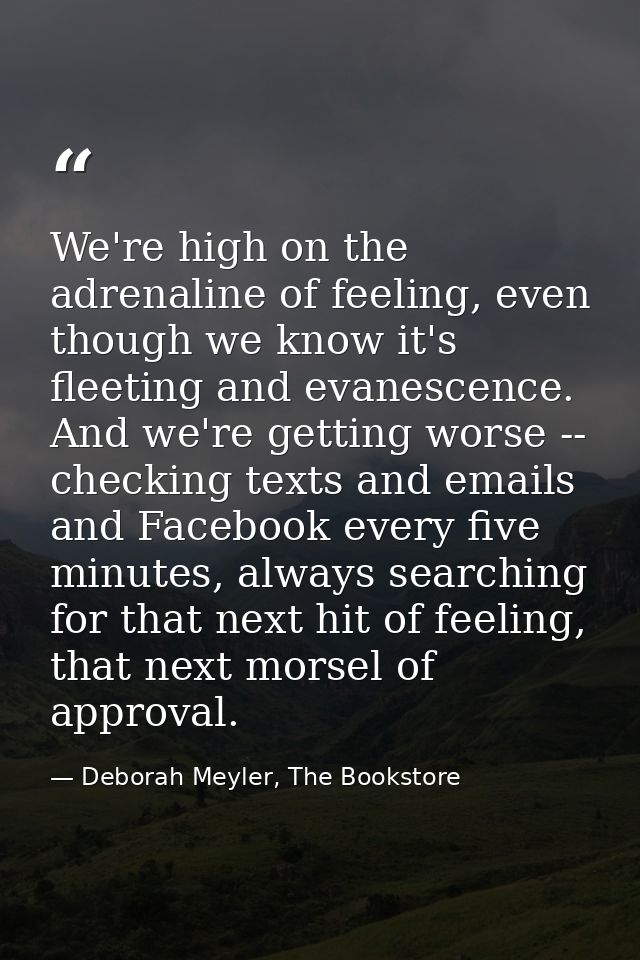 We're high on the adrenaline of feeling, even though we know it's fleeting and evanescence. And we're getting worse -- c — Deborah Meyler, The Bookstore