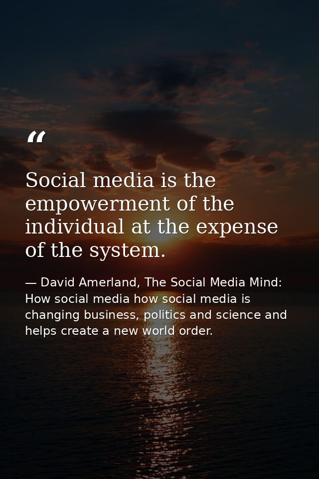Social media is the empowerment of the individual at the expense of the system. — David Amerland, The Social Media Mind: How social media how social media is changing business, politics and science and helps create a new world order.