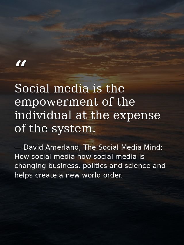 Social media is the empowerment of the individual at the expense of the system. — David Amerland, The Social Media Mind: How social media how social media is changing business, politics and science and helps create a new world order.