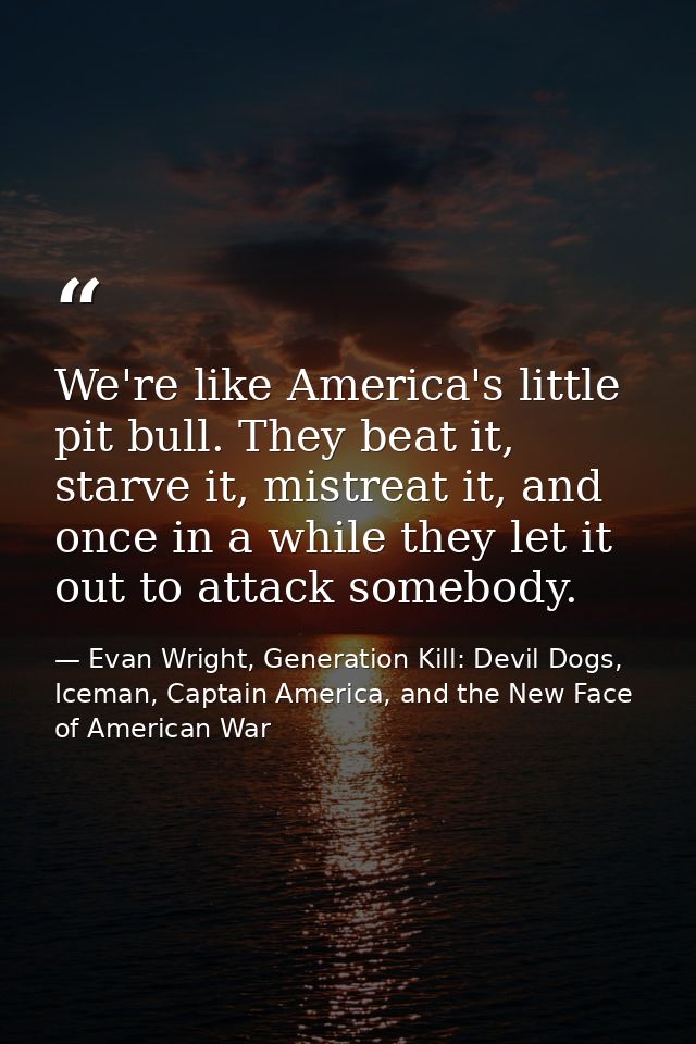 We're like America's little pit bull. They beat it, starve it, mistreat it, and once in a while they let it out to attac — Evan Wright, Generation Kill: Devil Dogs, Iceman, Captain America, and the New Face of American War