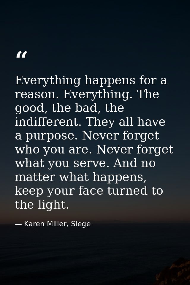 Everything happens for a reason. Everything. The good, the bad, the indifferent. They all have a purpose. Never forget w — Karen Miller, Siege