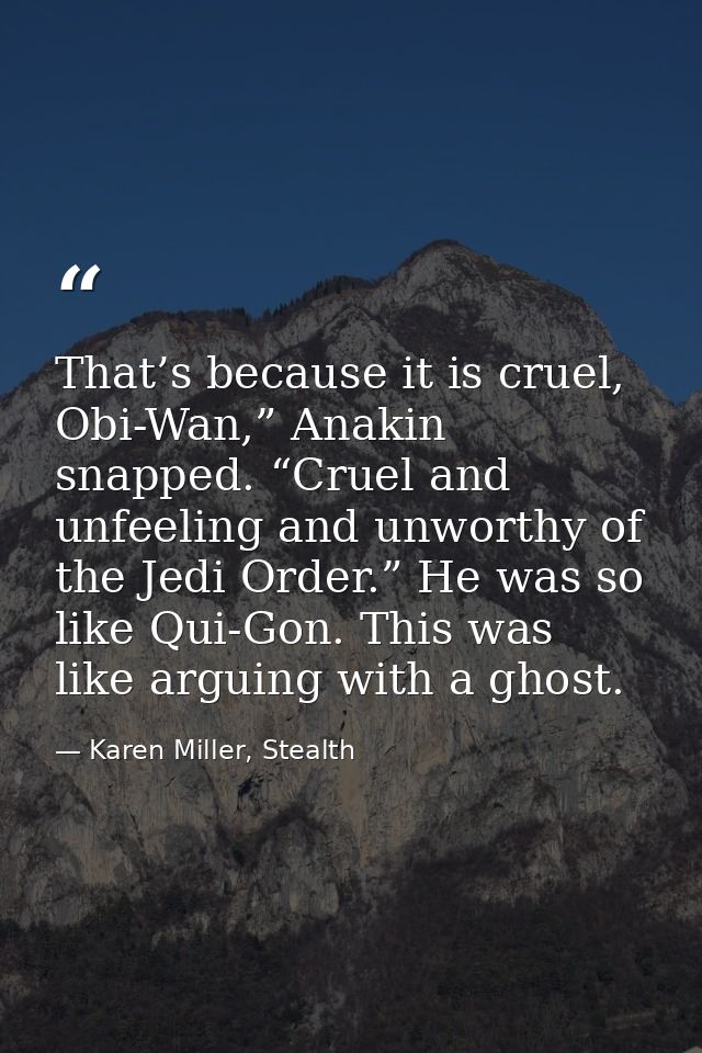 That’s because it is cruel, Obi-Wan,” Anakin snapped. “Cruel and unfeeling and unworthy of the Jedi Order.” He was so li — Karen Miller, Stealth