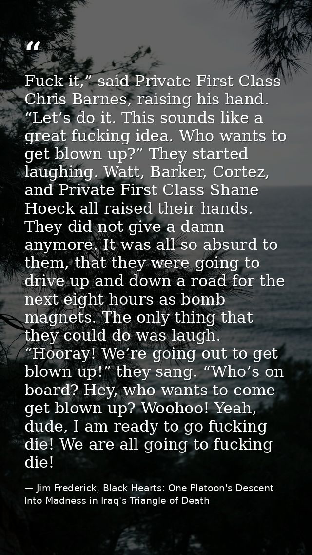 Fuck it,” said Private First Class Chris Barnes, raising his hand. “Let’s do it. This sounds like a great fucking idea.  — Jim Frederick, Black Hearts: One Platoon's Descent Into Madness in Iraq's Triangle of Death