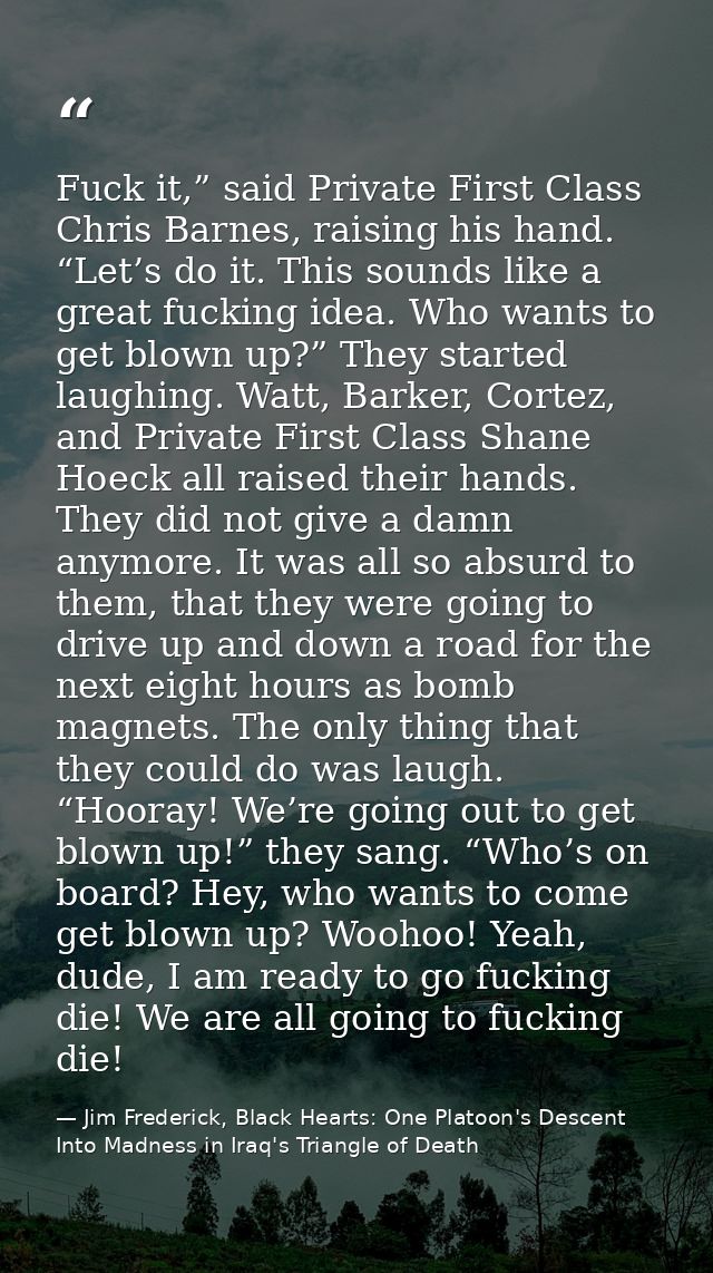 Fuck it,” said Private First Class Chris Barnes, raising his hand. “Let’s do it. This sounds like a great fucking idea.  — Jim Frederick, Black Hearts: One Platoon's Descent Into Madness in Iraq's Triangle of Death