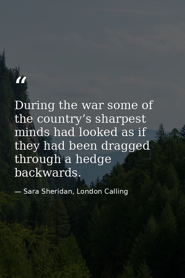 During the war some of the country’s sharpest minds had looked as if they had been dragged through a hedge backwards. — Sara Sheridan, London Calling