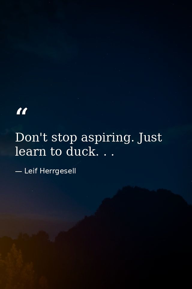 Don't stop aspiring. Just learn to duck. . . — Leif Herrgesell