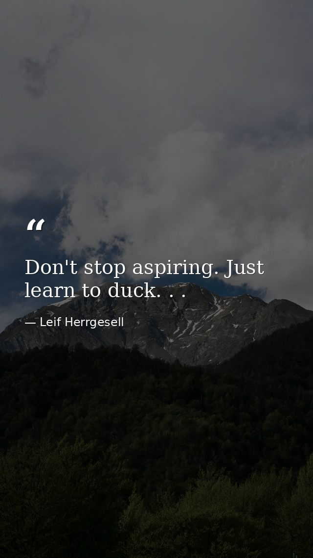 Don't stop aspiring. Just learn to duck. . . — Leif Herrgesell