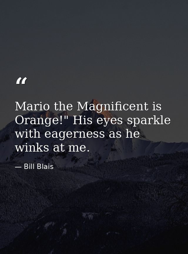 Mario the Magnificent is Orange!" His eyes sparkle with eagerness as he winks at me. — Bill Blais
