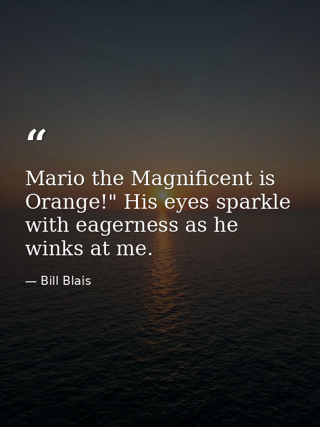 Mario the Magnificent is Orange!" His eyes sparkle with eagerness as he winks at me. — Bill Blais