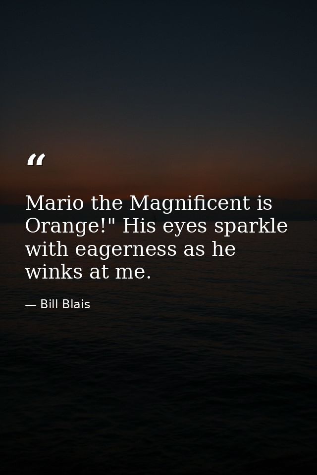 Mario the Magnificent is Orange!" His eyes sparkle with eagerness as he winks at me. — Bill Blais