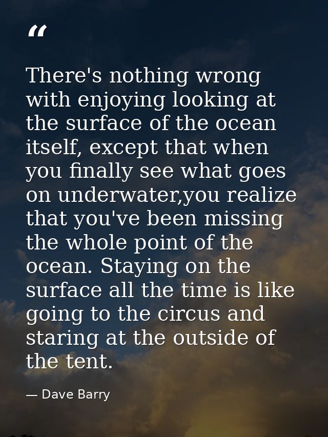 There's nothing wrong with enjoying looking at the surface of the ocean itself, except that when you finally see what go — Dave Barry