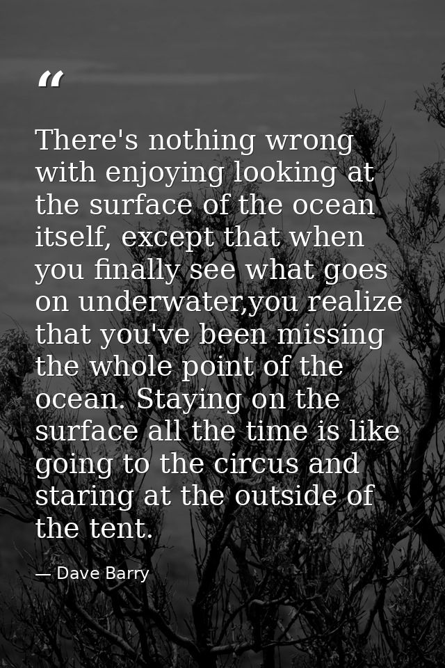 There's nothing wrong with enjoying looking at the surface of the ocean itself, except that when you finally see what go — Dave Barry