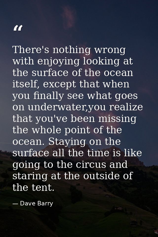 There's nothing wrong with enjoying looking at the surface of the ocean itself, except that when you finally see what go — Dave Barry