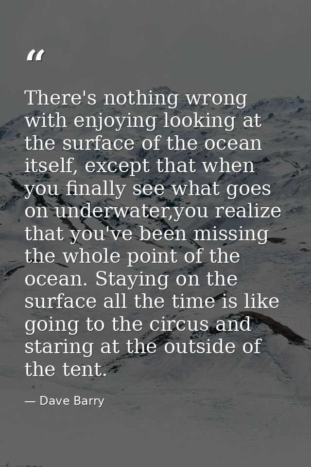 There's nothing wrong with enjoying looking at the surface of the ocean itself, except that when you finally see what go — Dave Barry