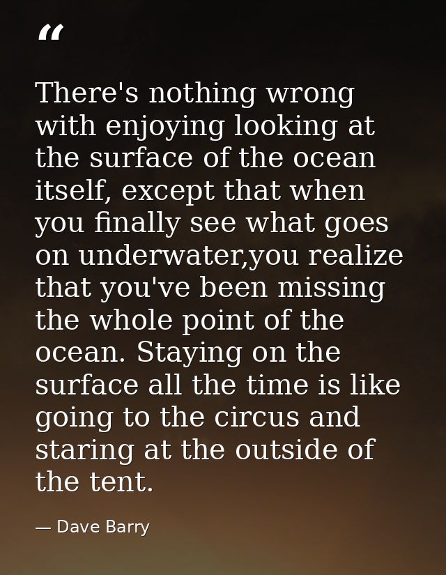 There's nothing wrong with enjoying looking at the surface of the ocean itself, except that when you finally see what go — Dave Barry