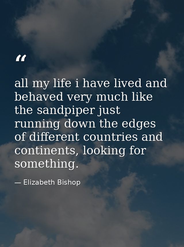 all my life i have lived and behaved very much like the sandpiper just running down the edges of different countries and — Elizabeth Bishop