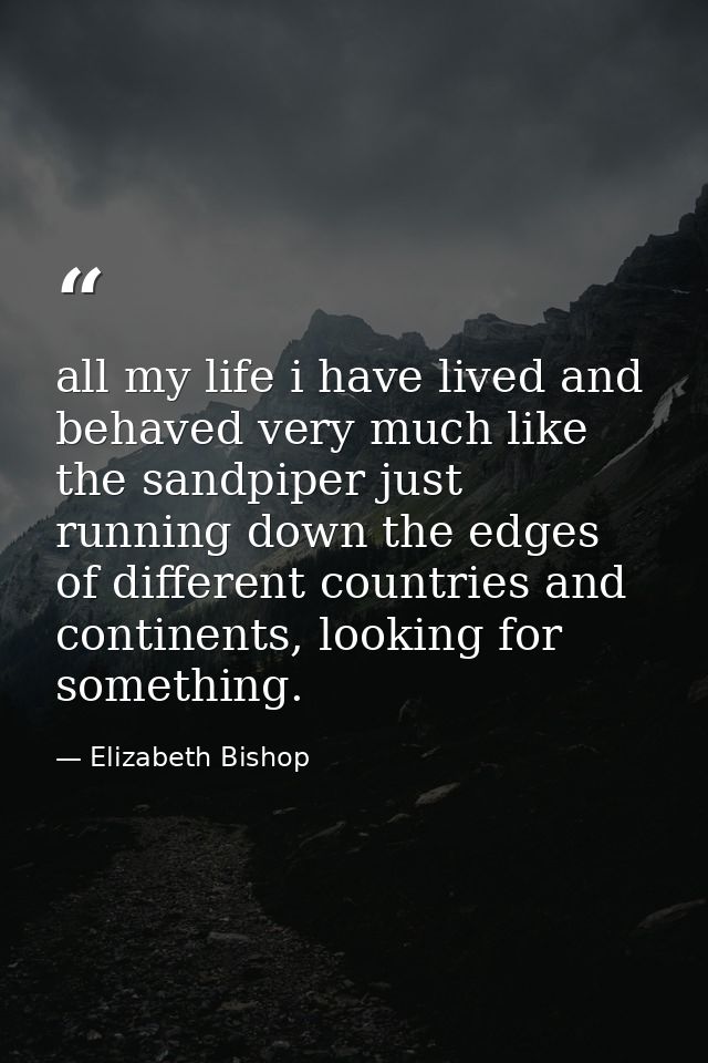 all my life i have lived and behaved very much like the sandpiper just running down the edges of different countries and — Elizabeth Bishop