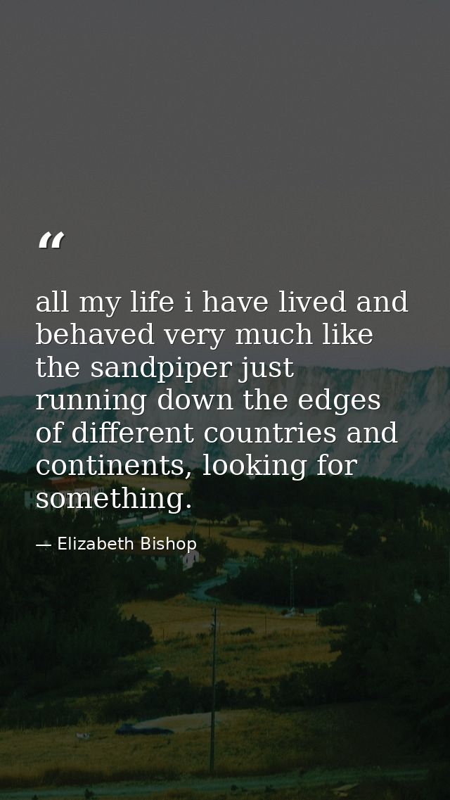all my life i have lived and behaved very much like the sandpiper just running down the edges of different countries and — Elizabeth Bishop