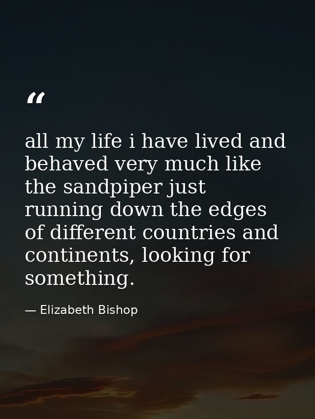 all my life i have lived and behaved very much like the sandpiper just running down the edges of different countries and — Elizabeth Bishop
