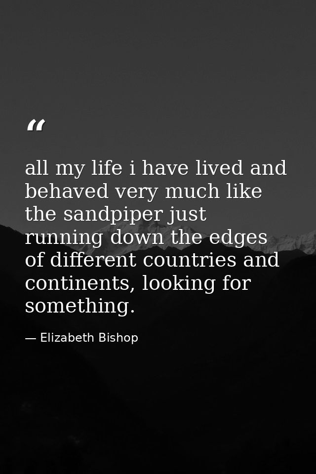 all my life i have lived and behaved very much like the sandpiper just running down the edges of different countries and — Elizabeth Bishop