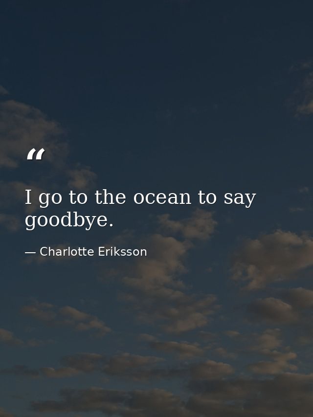 I go to the ocean to say goodbye. — Charlotte Eriksson