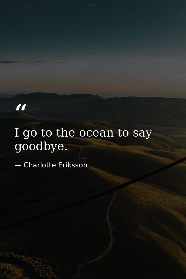 I go to the ocean to say goodbye. — Charlotte Eriksson