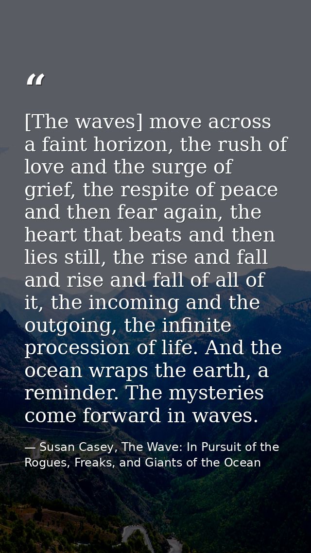 [The waves] move across a faint horizon, the rush of love and the surge of grief, the respite of peace and then fear aga — Susan Casey, The Wave: In Pursuit of the Rogues, Freaks, and Giants of the Ocean