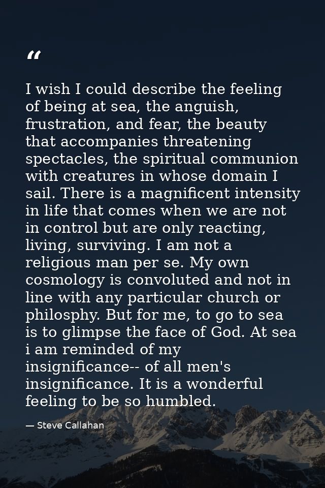 I wish I could describe the feeling of being at sea, the anguish, frustration, and fear, the beauty that accompanies thr — Steve Callahan