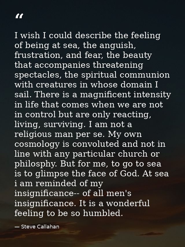 I wish I could describe the feeling of being at sea, the anguish, frustration, and fear, the beauty that accompanies thr — Steve Callahan