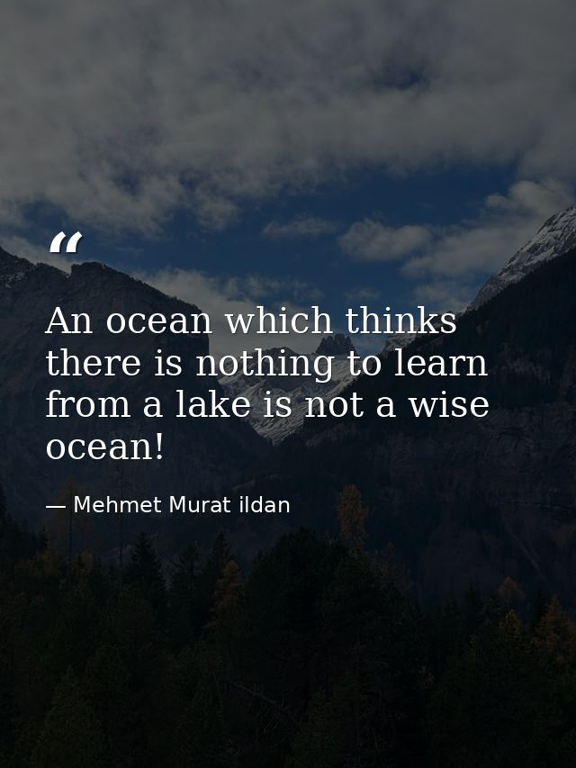 An ocean which thinks there is nothing to learn from a lake is not a wise ocean! — Mehmet Murat ildan