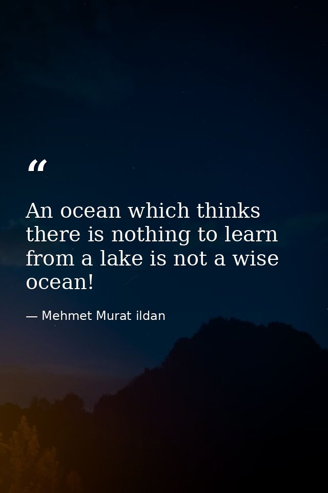 An ocean which thinks there is nothing to learn from a lake is not a wise ocean! — Mehmet Murat ildan