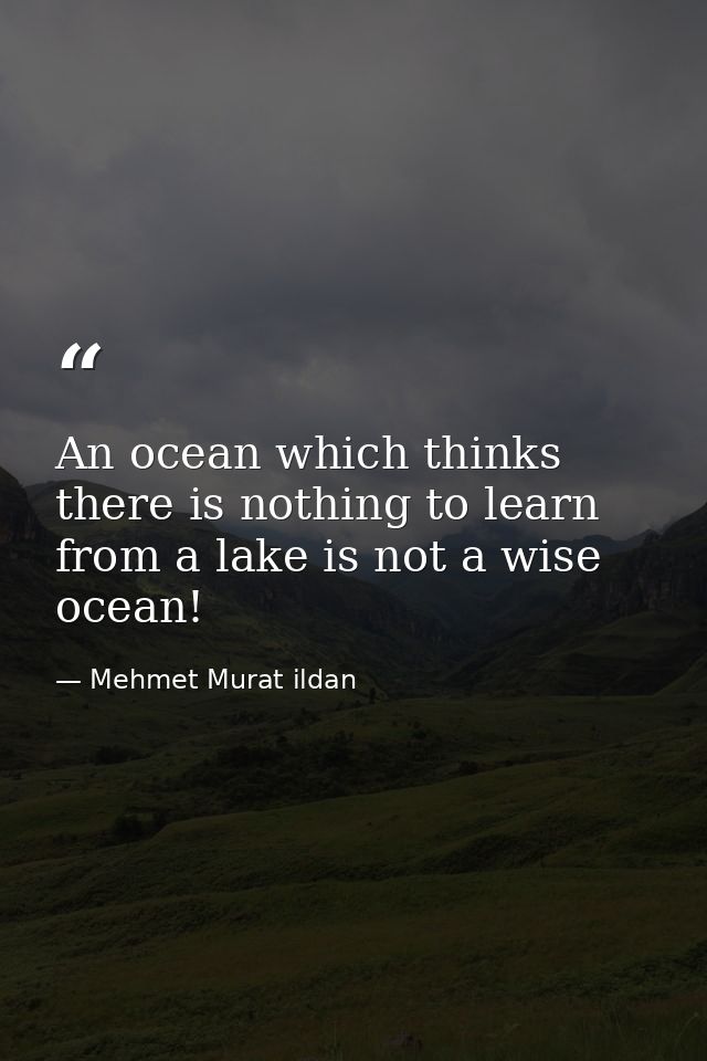 An ocean which thinks there is nothing to learn from a lake is not a wise ocean! — Mehmet Murat ildan