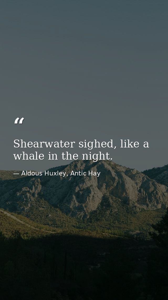 Shearwater sighed, like a whale in the night. — Aldous Huxley, Antic Hay