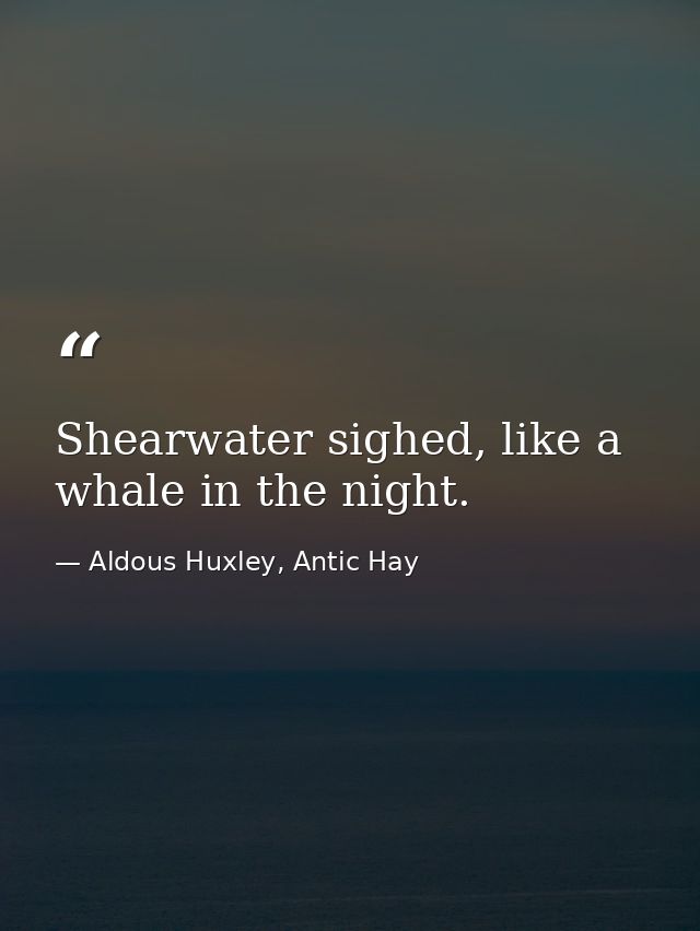 Shearwater sighed, like a whale in the night. — Aldous Huxley, Antic Hay
